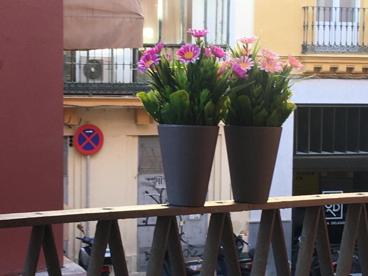 Apartamento Jimios Alcázar Catedral *